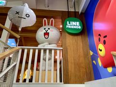 -line friends(明洞旗舰店)