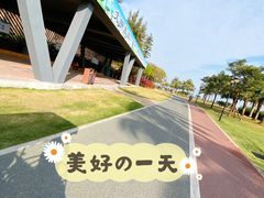 -野狸岛