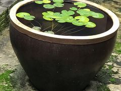 -韶山毛泽东同志故居