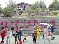 -青藏高原野生动物园