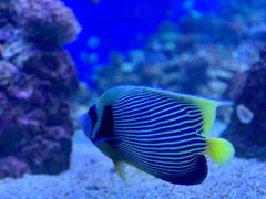 -成都浩海立方海洋公园