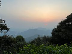 -黄埔油麻山森林公园