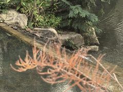 -云溪植物园