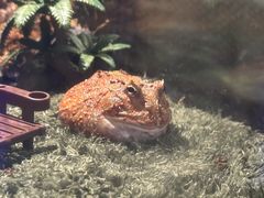 -太平洋海底世界