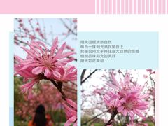 -堤角公园