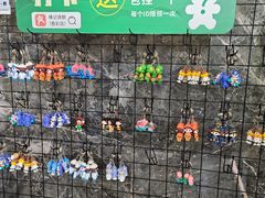 -椿记烧鹅(叠彩店)