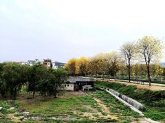 -天适樱花悠乐园