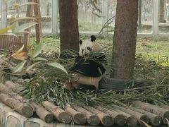 -西安秦岭野生动物园