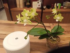 -二酉书店TOYOU BOOKS