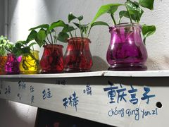 -大王油茶(二厂文创公园店)