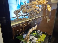 -栾氏荟(柳园店)