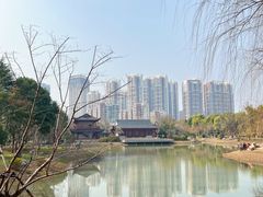 -堤角公园