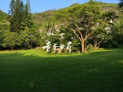 -青青世界