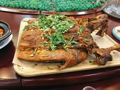 -杨正宗烤全羊(北二环店)