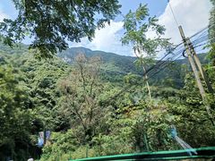 -秦岭风景区