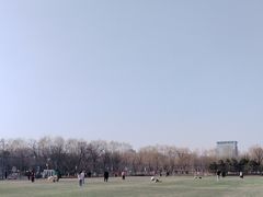 -五环公园