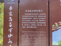 -百里山水画廊乌龙峡谷