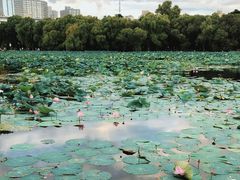 -长春市南湖公园