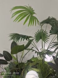 -HEYAN荷妍专业脱毛连锁机构