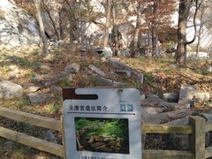 -崂山巨峰游览区