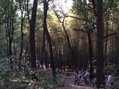 iphone_upload_pic-灵岩山风景区