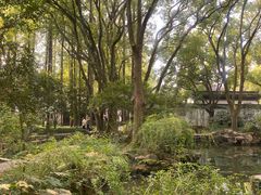 -上海醉白池公园