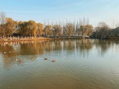 -西安浐灞国家湿地公园