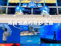 -泉城欧乐堡海洋极地世界
