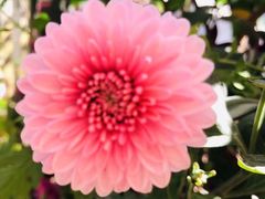 -长沙滨江文化园