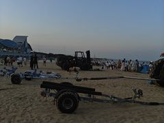 -日照海滨国家森林公园