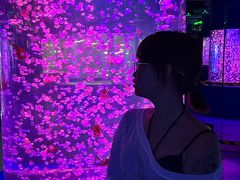 -重庆欢乐海底世界