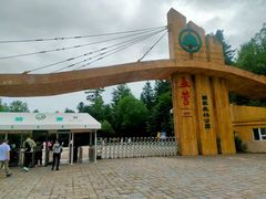 -五营红松林海景区