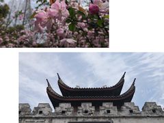 -证大喜玛拉雅中心
