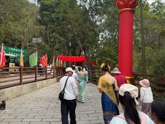 -西双版纳原始森林公园