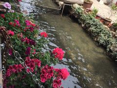 -小厨子私房菜·云南美食店