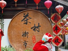 -天目湖山水园