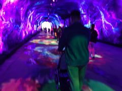 -栾川竹海野生动物园