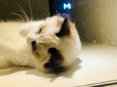 -乐宠宠物店(世纪金源店)