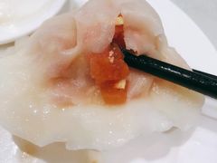 -陶然饺子城(奥体中路店)