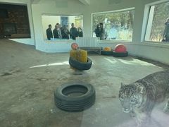 -青藏高原野生动物园