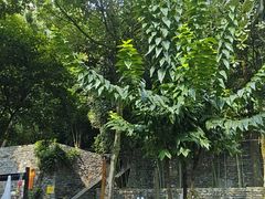 -融汇温泉