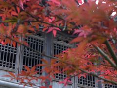 龙川村-绩溪龙川景区