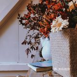 🌠广州探店｜🍂夏日里的秋色童话屋☕盲盒拉花你尝过吗❓