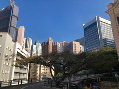 -香港大学