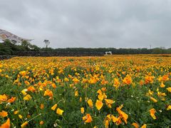 -江苏三台山国家森林公园