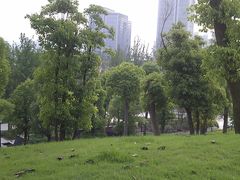 -重庆市江北嘴中央商务区中央公园