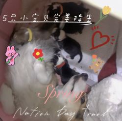 -酷嗒动物文化乐园(cutezoo西溪乐天城店)