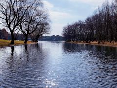 -上海共青森林公园