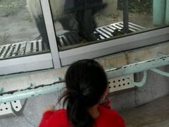 -龙达温泉生态城