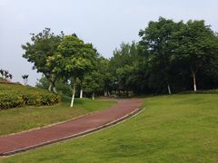 -滨湖塘西河公园